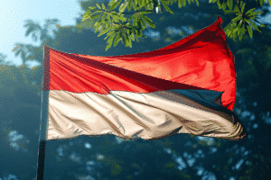 indonesian-presidential-election-results-contested-over-allegations-of-fraud