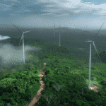 grassroots-resistance-rises-against-wind-power-in-brazil