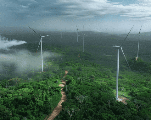 grassroots-resistance-rises-against-wind-power-in-brazil